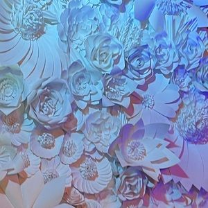 Meet your Posher, Ally